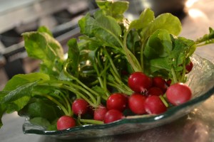 Chef's Garden Cherry Bomb Radishes!